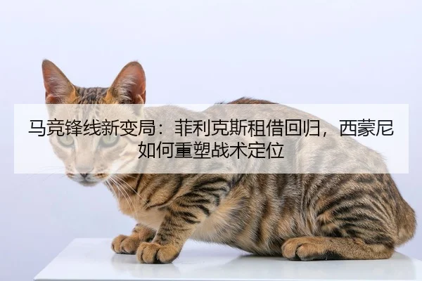 ma-jing-feng-xian-xin-bian-ju-fei-li-ke-si-zu-jie-hui-gui-xi-meng-ni-ru-he-zhong-su-zhan-shu-ding-wei-2-588.jpg