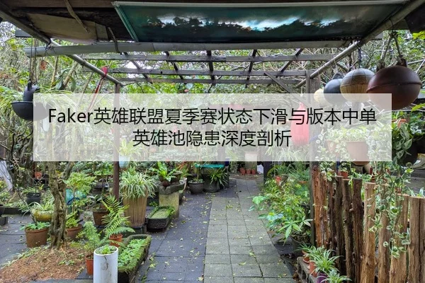 Faker英雄联盟夏季赛状态下滑与版本中单英雄池隐患深度剖析