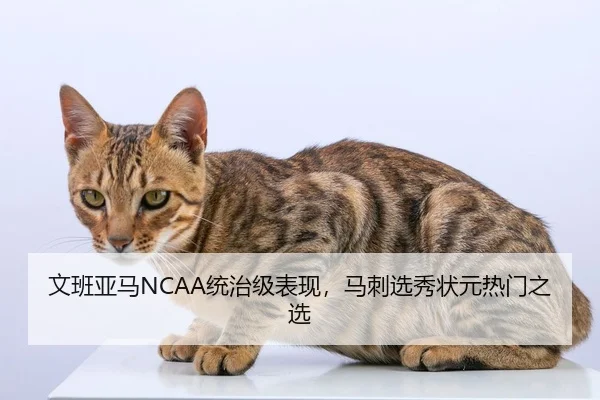 文班亚马NCAA统治级表现，马刺选秀状元热门之选